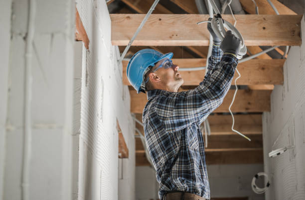 Best Ceiling Fan Installation Electrician  in Roselle, IL