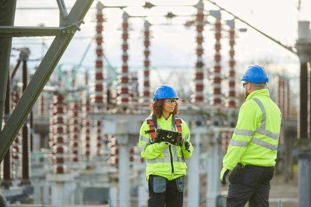 Best Affordable Electrician  in Roselle, IL