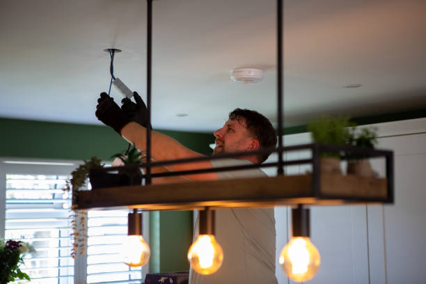 Best Electrical Troubleshooting Services  in Roselle, IL