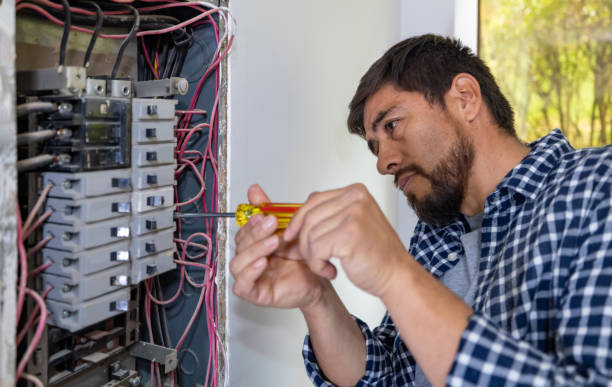 Best Electrical Troubleshooting Services  in Roselle, IL